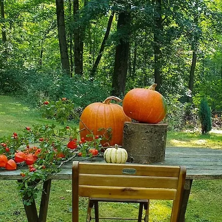 Schoene Im Naturidyll