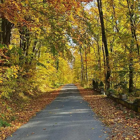 Apartment Schoene Im Naturidyll *