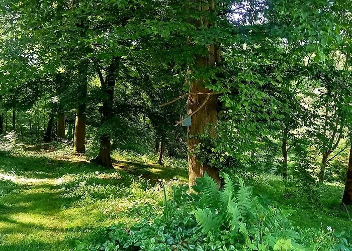 Schoene Im Naturidyll * Herleshausen