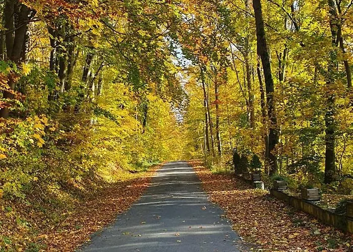 Διαμέρισμα Schoene Im Naturidyll *